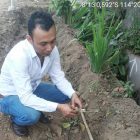 Diduga Proyek Pelebaran Jalan Banjarsari Merusak Saluran Air Drainase